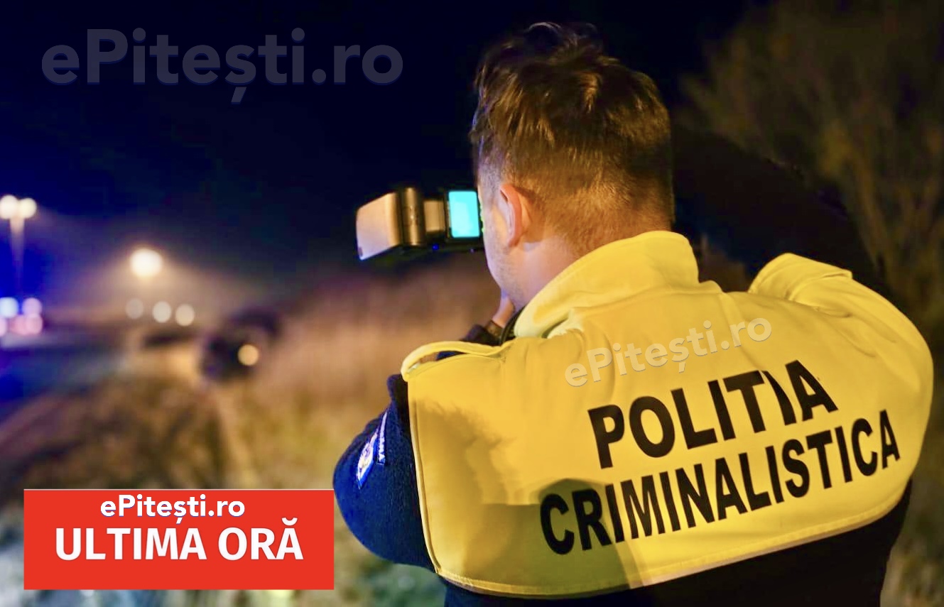 Șofer român ucis: Suspectul a fost prins la volanul unui camion înmatriculat în Argeș