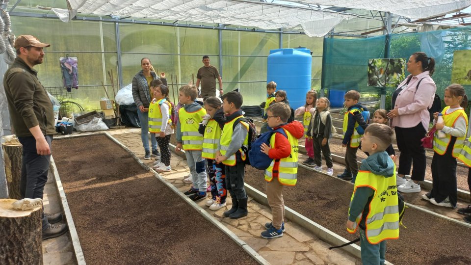 Anul școlar 2025-2026: Săptămâna Verde stârnește controverse!