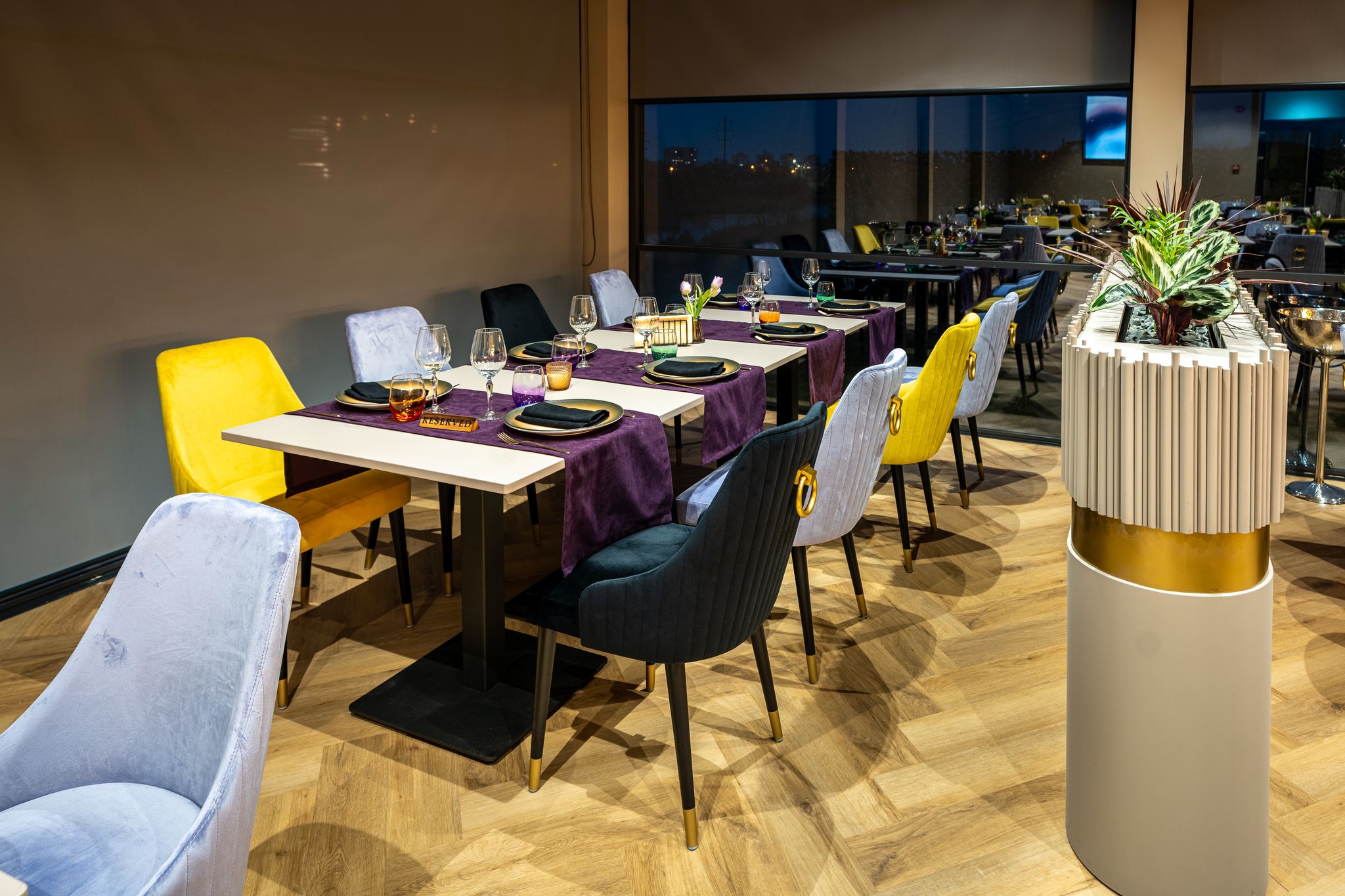 Restaurant Gato