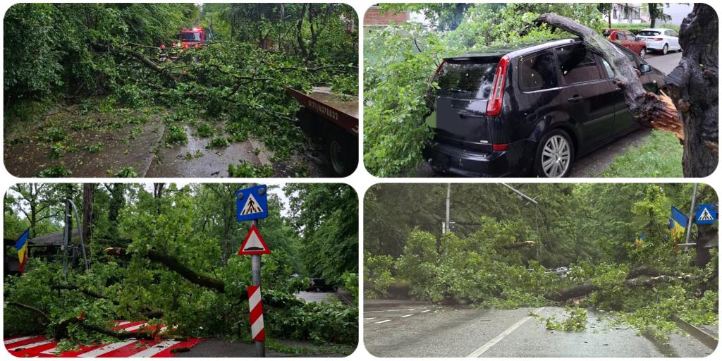 Dezastru în Pitești - vremea face prăpăd! Copaci prăbușiți pe carosabil și pe mașini, străzi blocate!