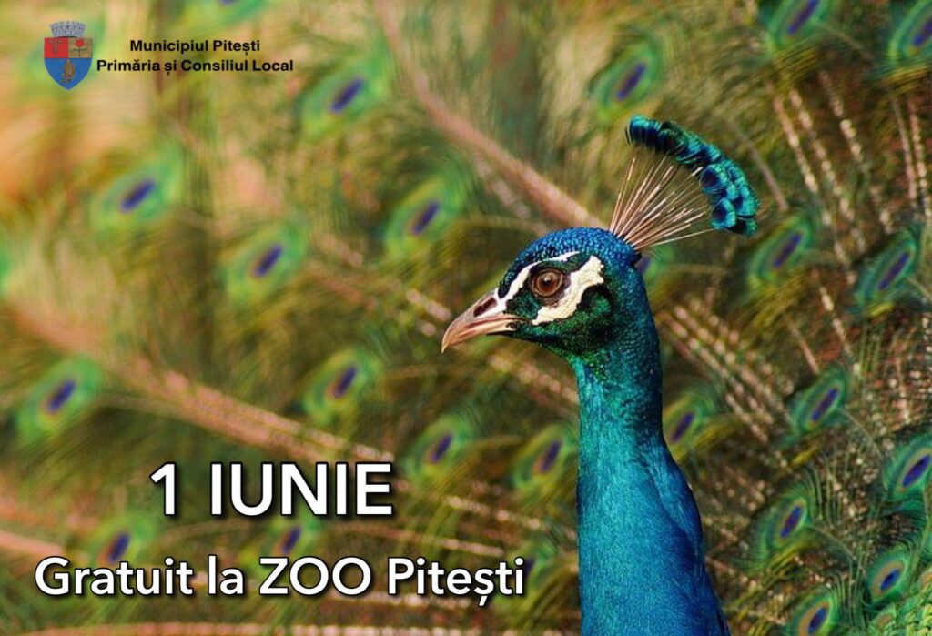 gradina zoo 1 iunie