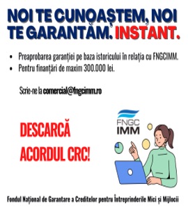 270×300 IMM