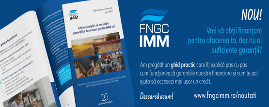 fngcimm BANNER_IULIE 555×222