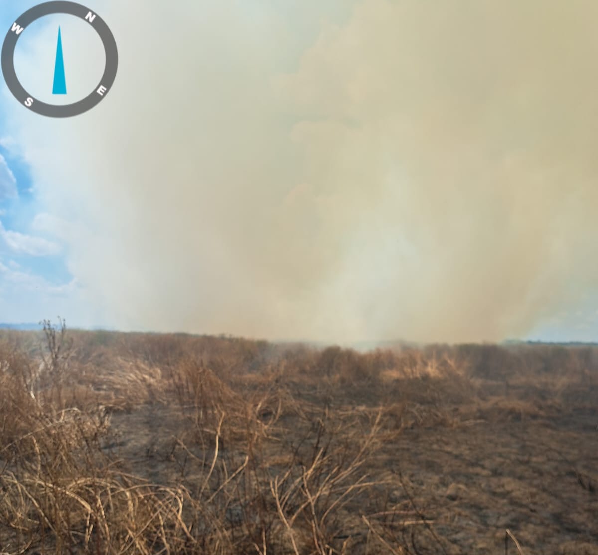 Incendiu de vegetație