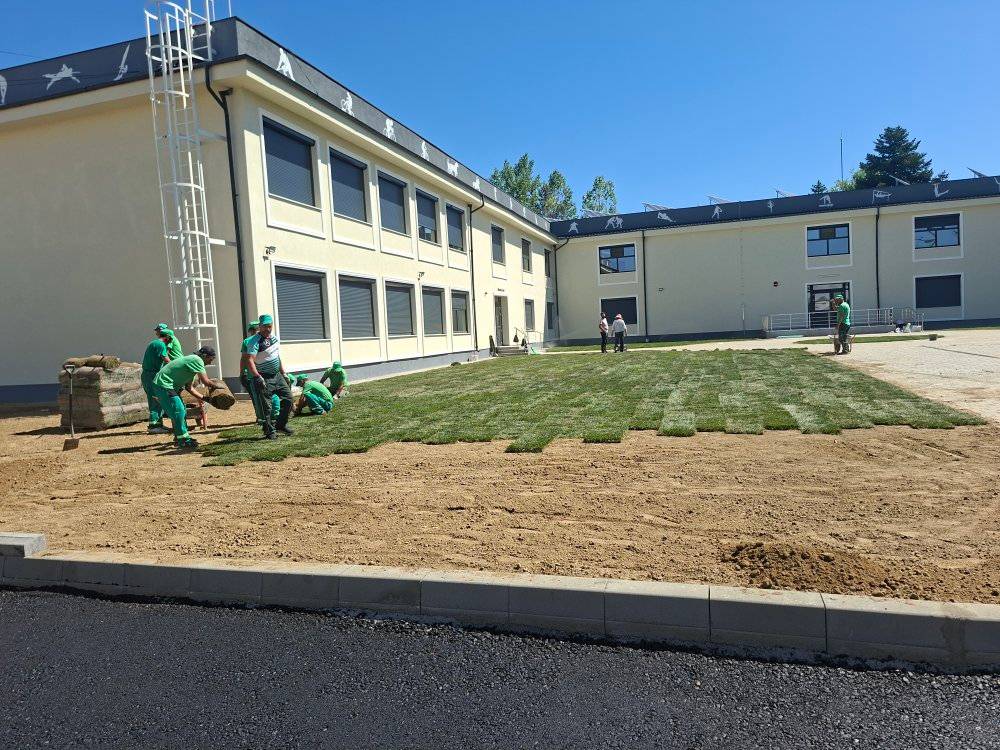 Salpitflor renovare LPS