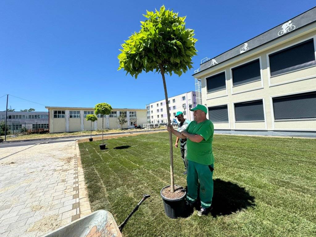 Salpitflor renovare LPS