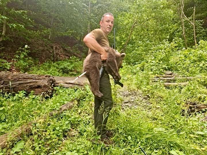 Unul dintre puii ursoaicei care a ucis turistul italian a fost găsit în viață!