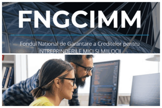 FNGCIMM extinde parteneriatele regionale pentru sprijinirea IMM-urilor din Constanța, Prahova, Argeș și Brașov