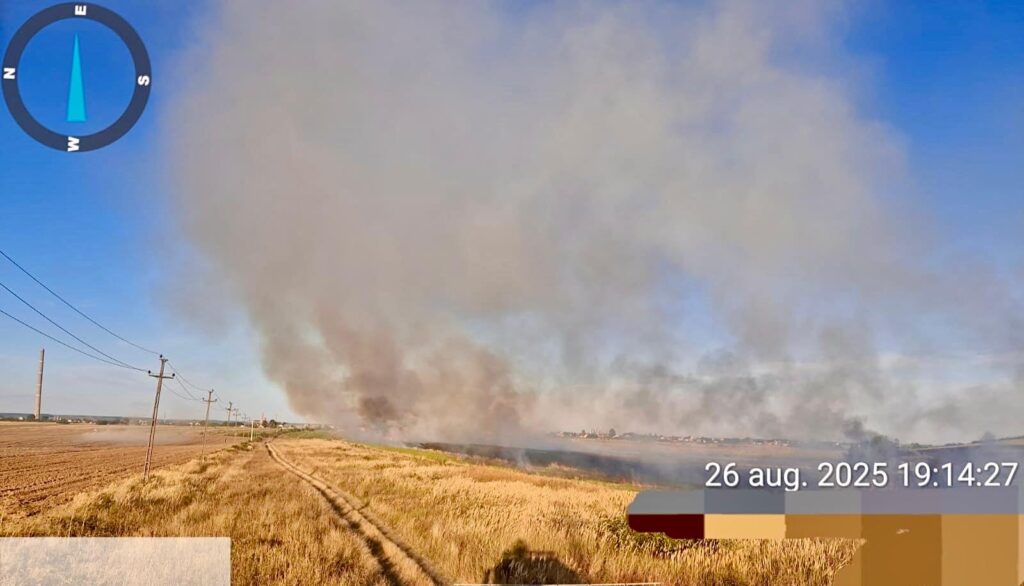 Argeș. Flăcările au făcut prăpăd! Cultură agricolă arsă complet