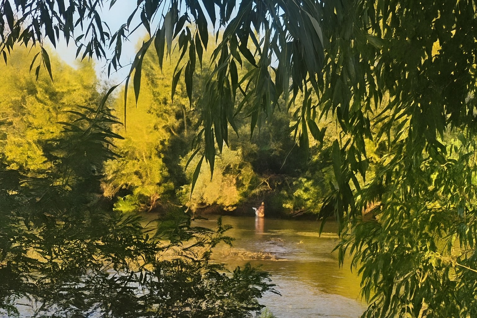 Imagini greu de privit, pe Râul Argeș!