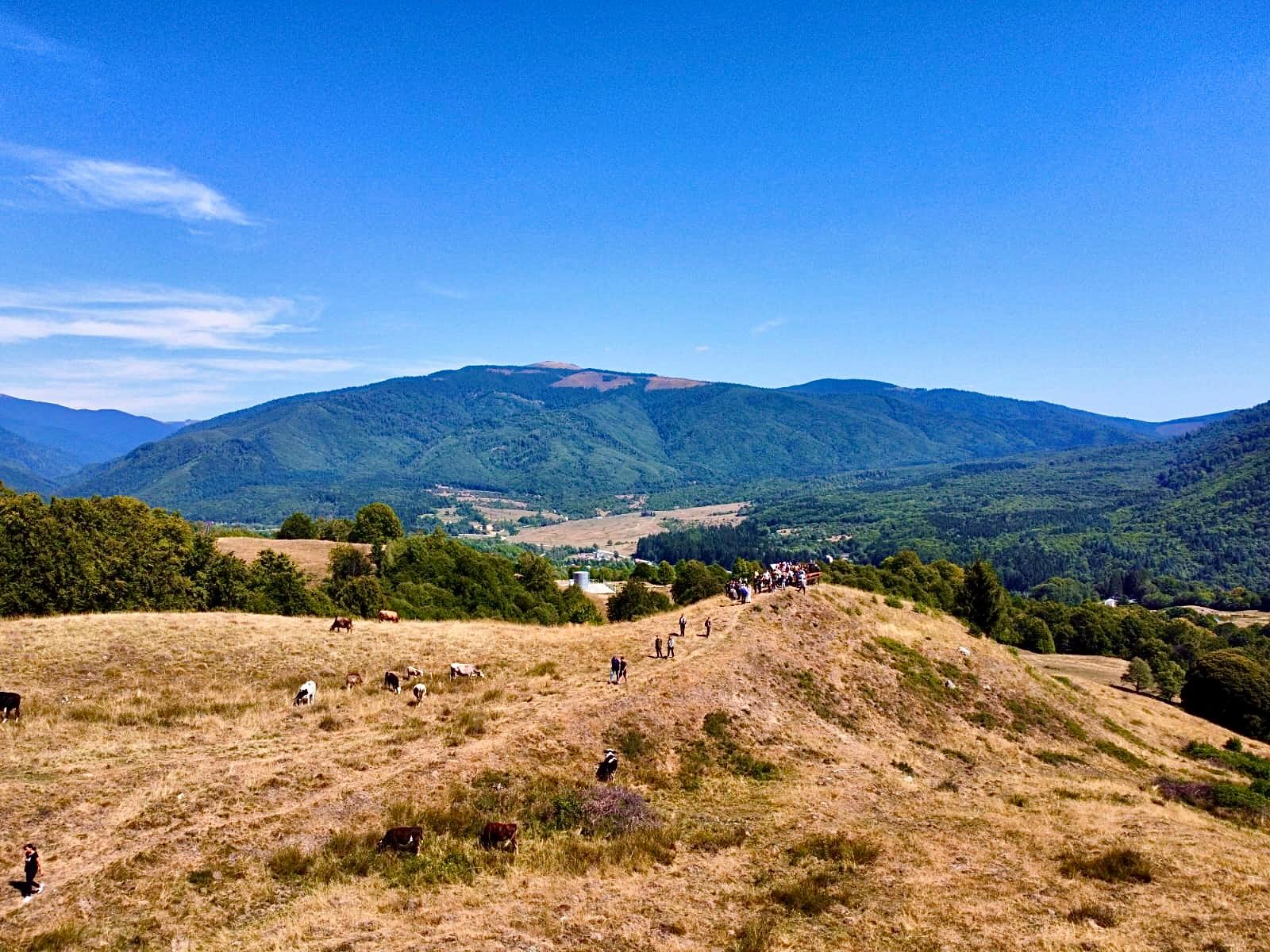 Argeș. Un colț de Românie pe care nu trebuie să-l ratezi