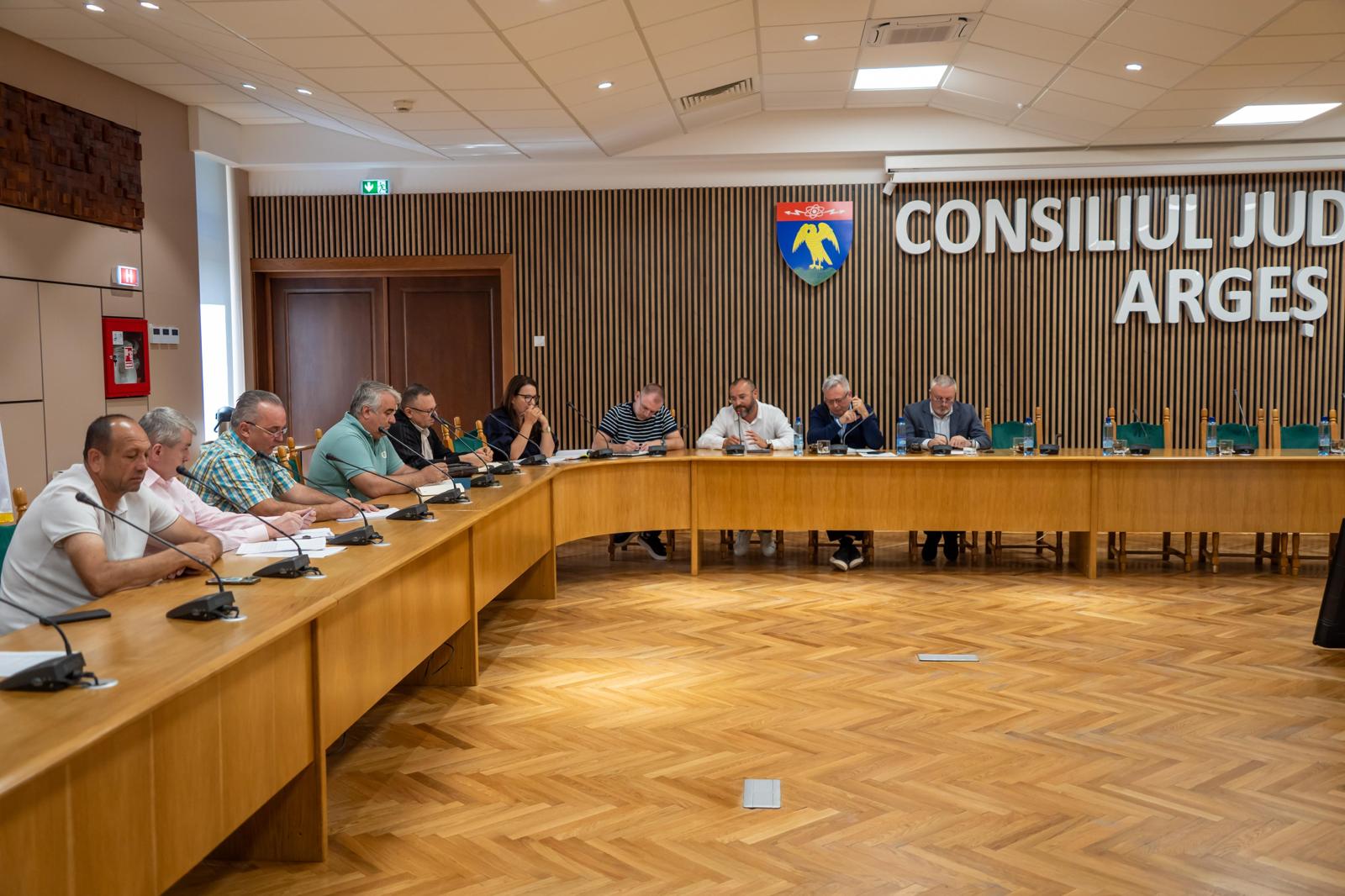 Decizie majoră a Consiliului