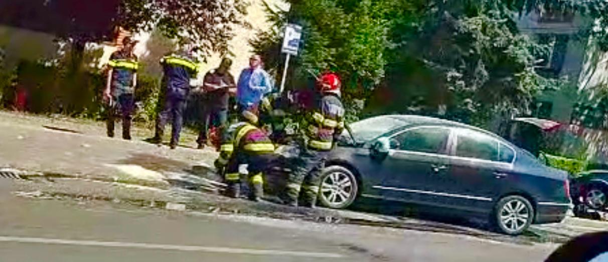 Panică în Trivale