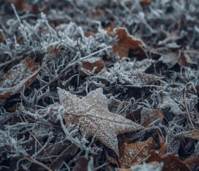 Dimineață de toamnă cu temperaturi negative! Unde s-au înregistrat