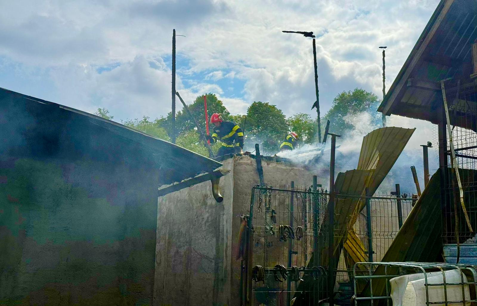 Cauza Incendiului și Salvarea Locuințelor în Pericol