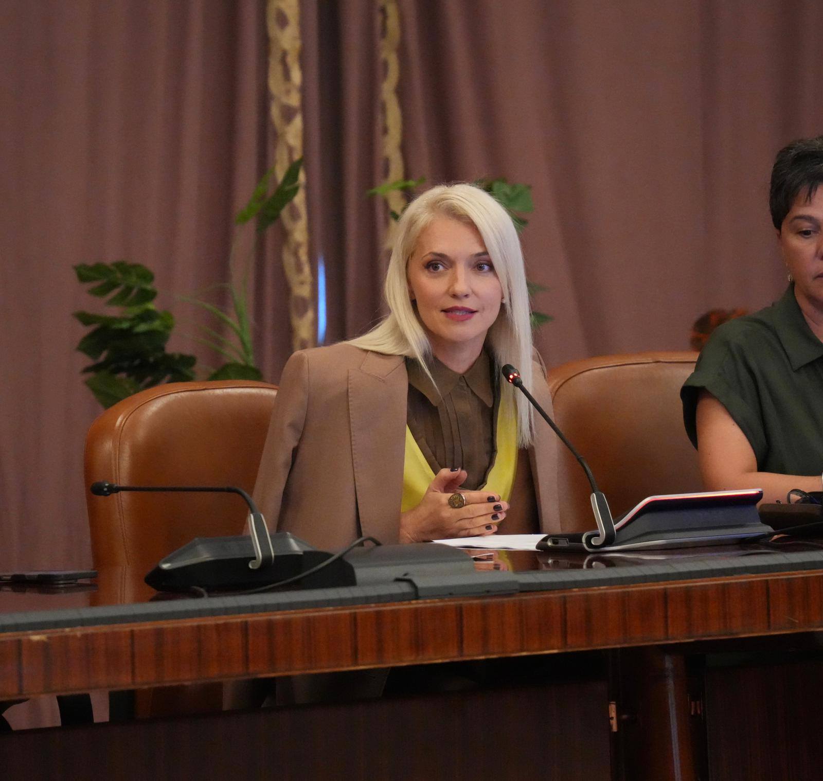 Soluții de protecție electronică pentru victimele violenței domestice prezentate la Dare2Shine.