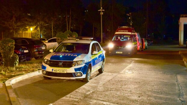 Exclusiv. Crimă înfiorătoare în Argeș! Ginerele și-a omorât socrul