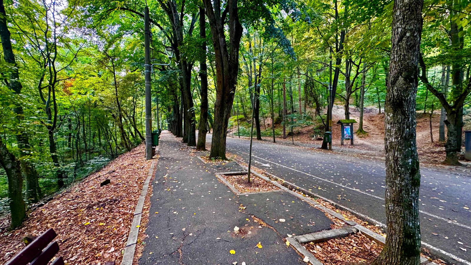 Pitești. Pe Trivale este situație alarmantă!