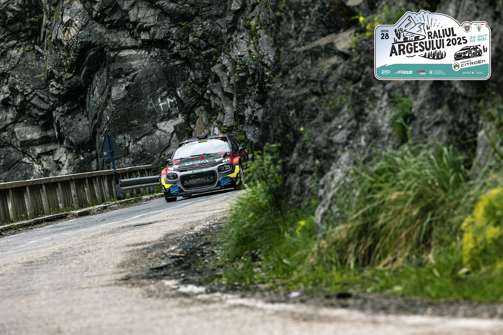 Raliul Argeșului - DTO Rally
