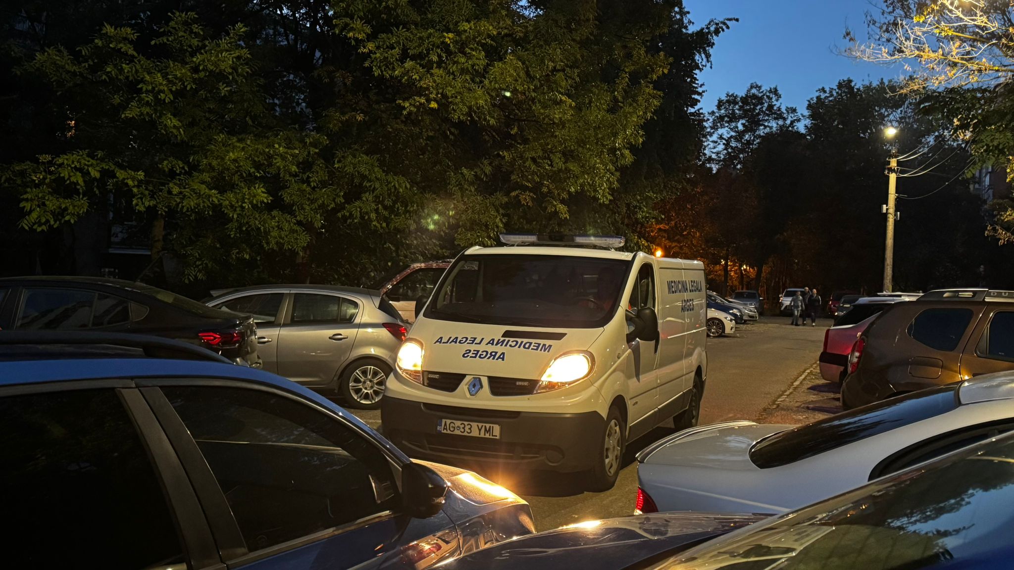 Deznodământ tragic lângă pădure