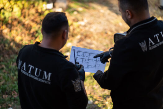 Cum contribuie un plan DDD bine implementat la obținerea și menținerea certificării IFS și FSSC