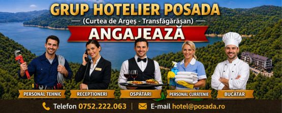 Posada Curtea de Arges 555×222
