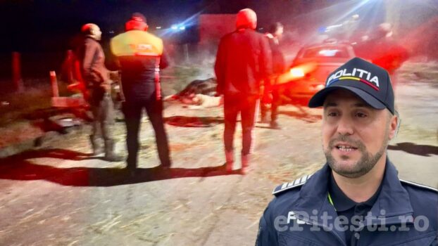 IPJ Argeș, noi date despre accidentul grav cu două atelaje, din această seară!