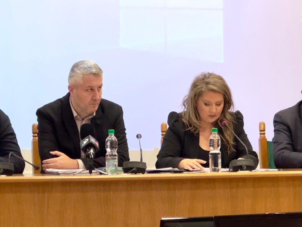 Sebastian Nedelcu, subprefect al județului Argeș