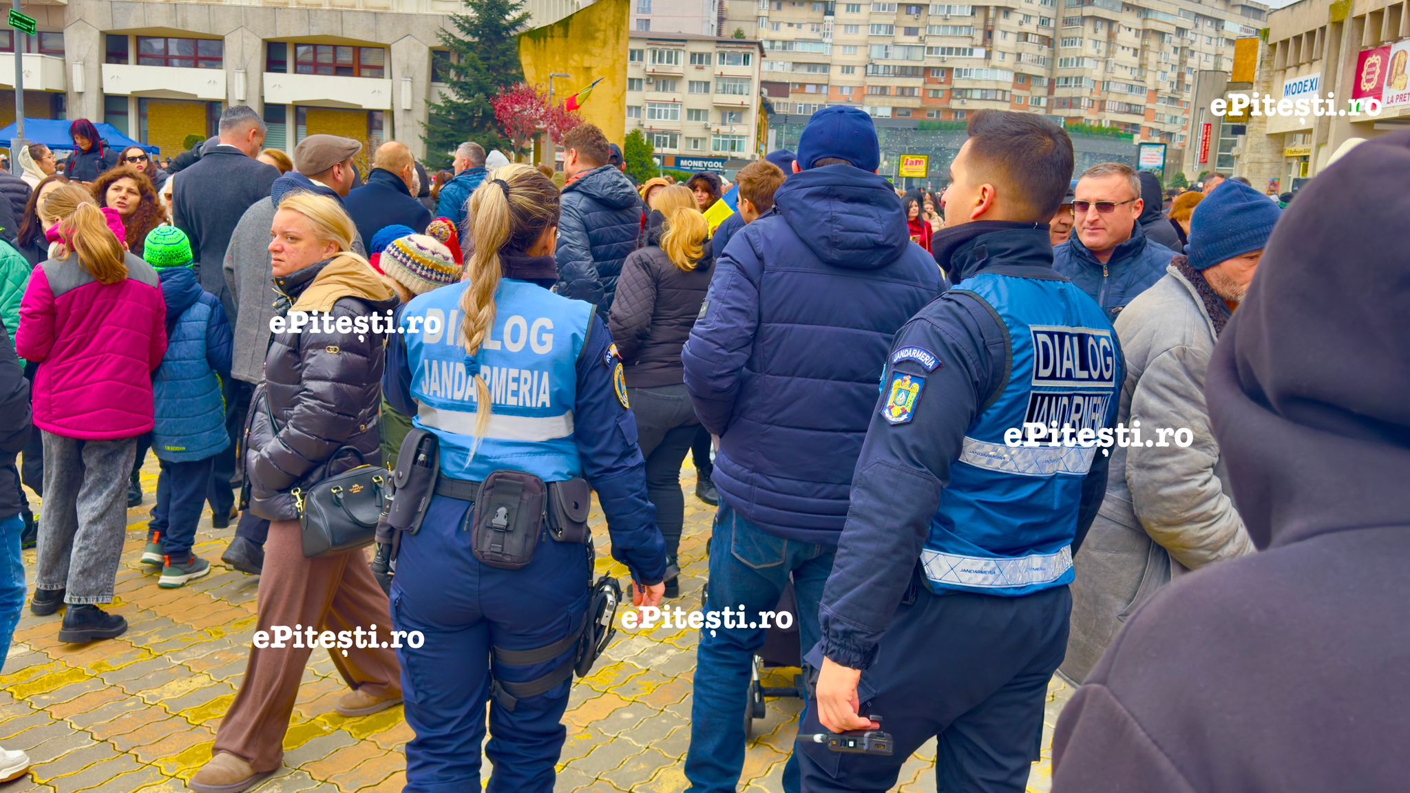 Jandarmii argeșeni, în alertă! Controale și sancțiuni dure
