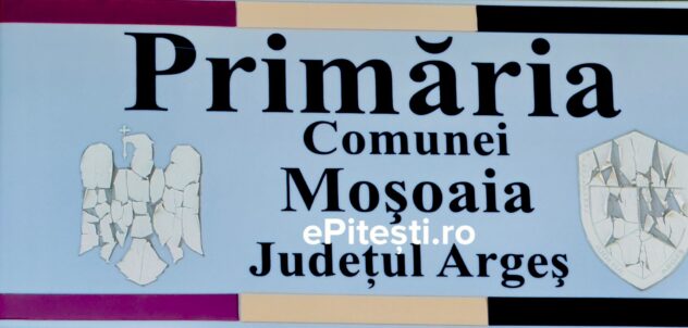 Concurs de angajare în Argeș. Primăria Moșoaia a anunțat rezultatul selecției dosarelor