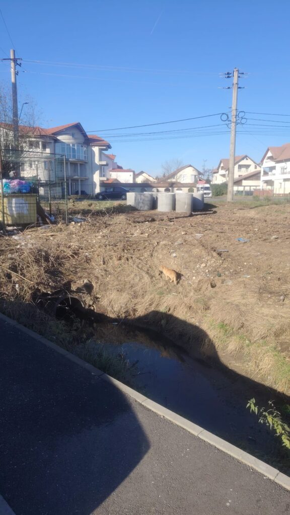 „Regularizare vale – zona Tancodrom”