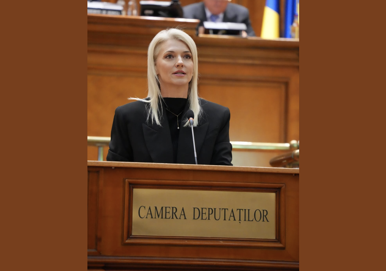 Alina Gorghiu, reacție categorică: Nu există scuze!