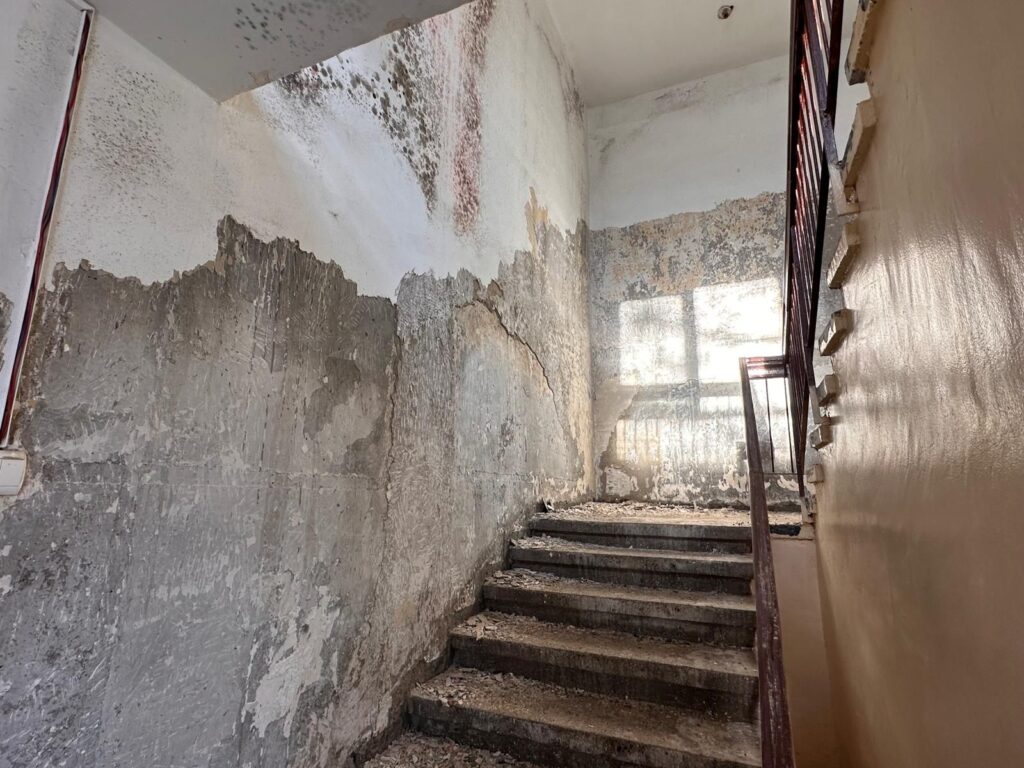 Creșa nr. 8 Pitești
