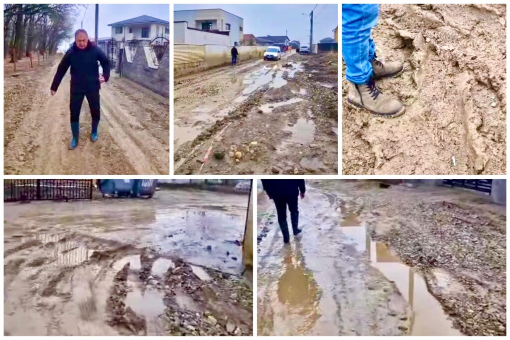 Lucrările de la Moșoaia