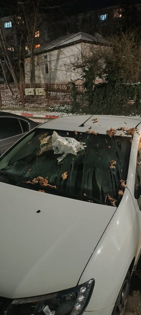 Mașina în cauză
