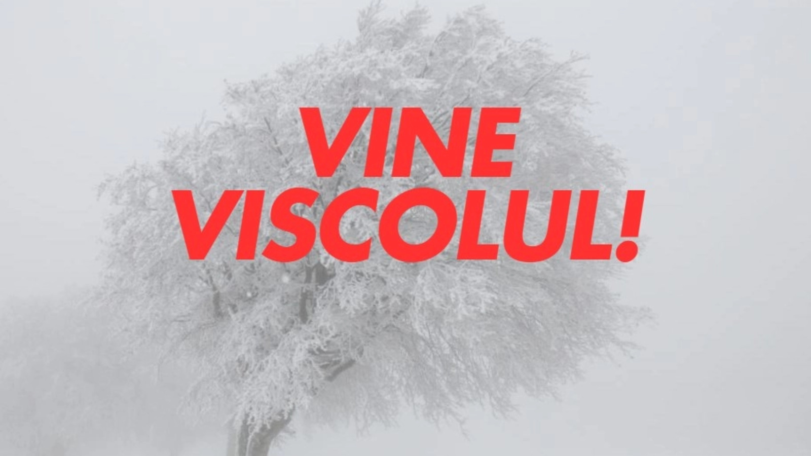 Vremea face ravagii în Argeș: Școli închise și examene anulate!