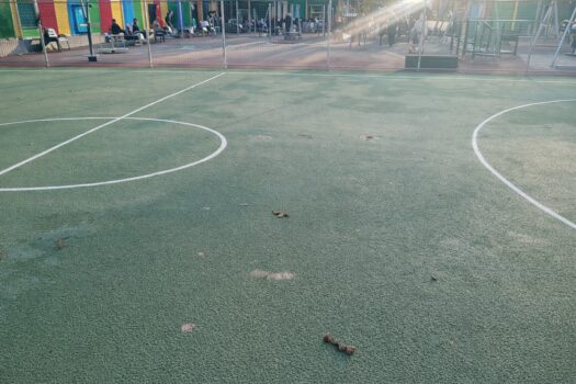 Un teren de sport abia inaugurat, toaletă pentru câini, în Nord, lângă Kaufland