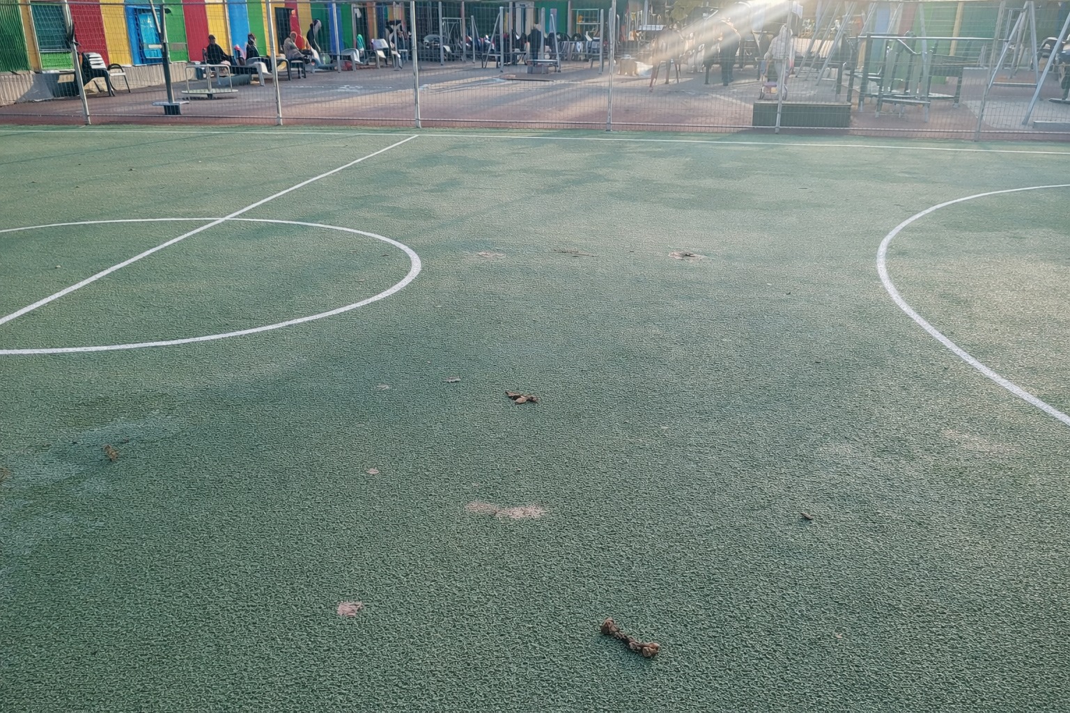 Un teren de sport abia inaugurat, toaletă pentru câini, în Nord, lângă Kaufland