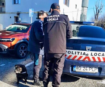 Razie în parcurile din Pitești: Proprietarii de câini, amendați direct