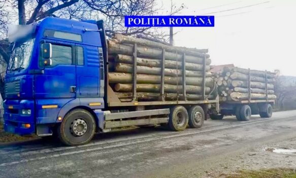 Argeș. Transporta ilegal lemn!