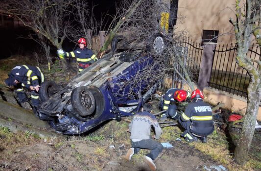 Argeș. Noapte agitată: Accidente, copac căzut, urși în două comune