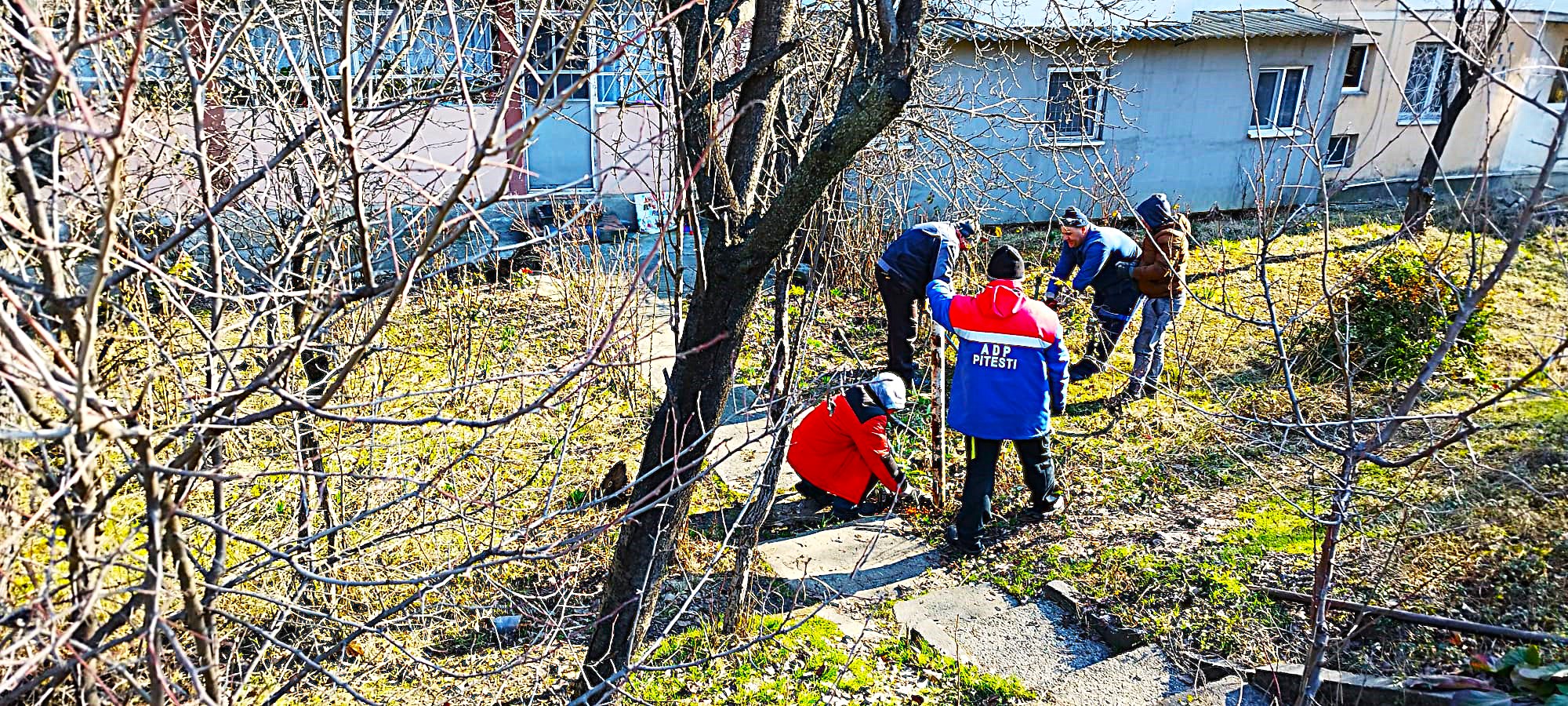 Un piteștean și-a făcut curte chiar la bloc. Cum s-a terminat totul