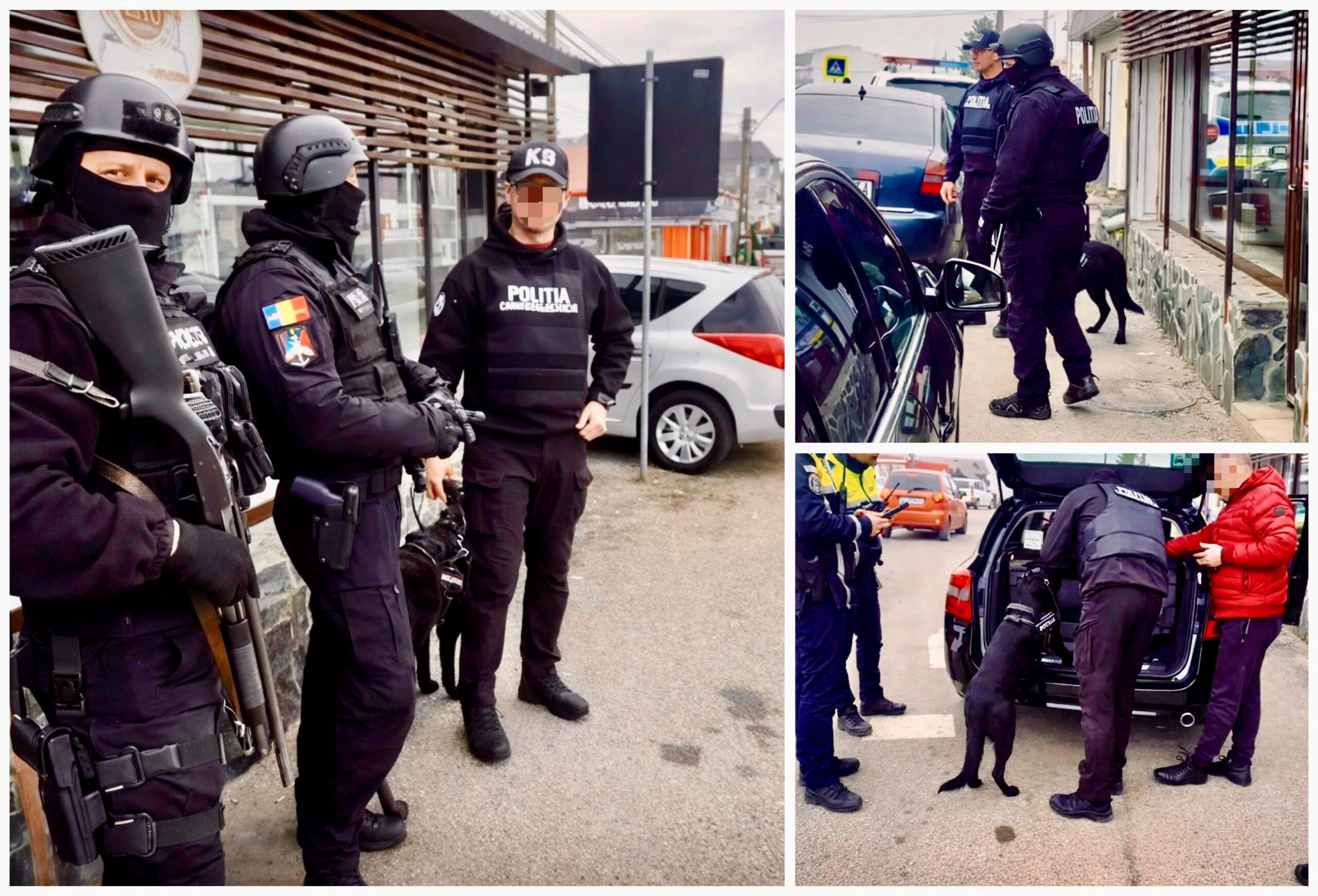 Mobilizare fără precedent în Târgul Săptămânal din Pitești! Mascați și câini de urmă au descins când nimeni nu se aștepta
