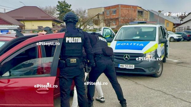 Argeș. Puștan tras pe dreapta de polițiști: S-a ales cu dosar penal