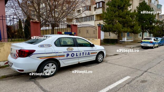 Poliția Argeș lovește în mafia lemnelor: Grav la o firmă din județ