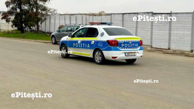 Argeș. Trei infracțiuni și un singur șofer: Cum a fost prins de polițiști