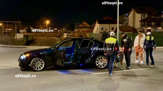 Piteștiul a fost „blocat”: Mascați, câini și filtre peste tot