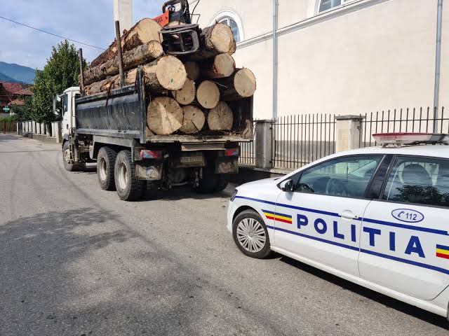 Argeş. Transport de lemne suspect! Șoferi, sancționați de polițiști