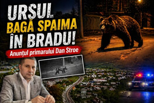 Tensiune în Bradu, Argeș!