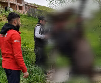 Argeș. Misiune extrem de dificilă! Cal căzut într-o groapă de 3 m